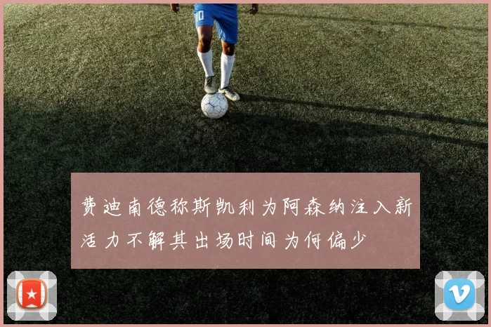 费迪南德称斯凯利为阿森纳注入新活力不解其出场时间为何偏少