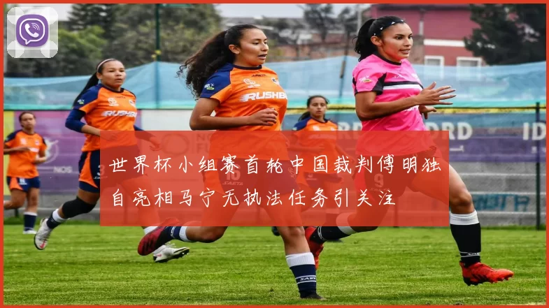 世界杯小组赛首轮中国裁判傅明独自亮相马宁无执法任务引关注